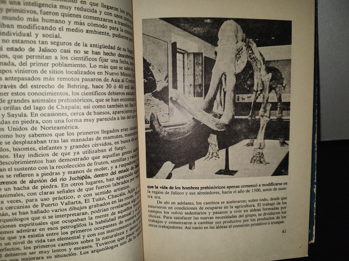 90- Jalisco, Esta Tierra - Heriberto Moreno García - Primera Edición 1982
