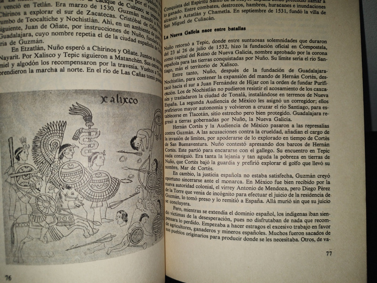 90- Jalisco, Esta Tierra - Heriberto Moreno García - Primera Edición 1982