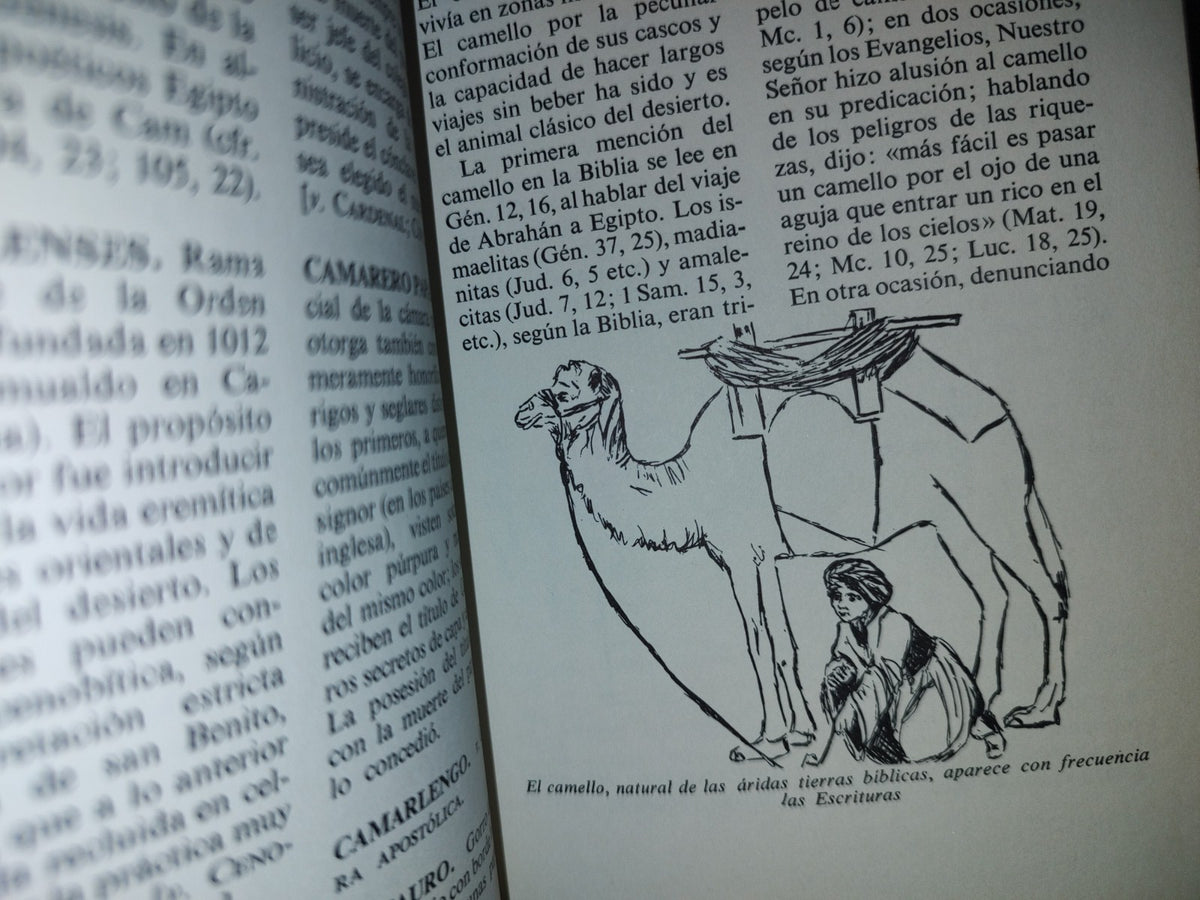 172- Enciclopedia De Referencia Católica. Volumen Ii [bra-Esp]. C. D. Stampley Enterprises Inc. 1970