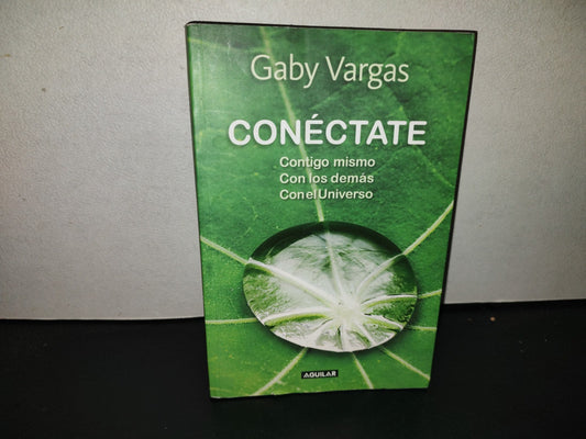 199- Conéctate Contigo Mismo, Con Los Demás, Con El Universo - Gaby Vargas - 1A. Ed. 2011