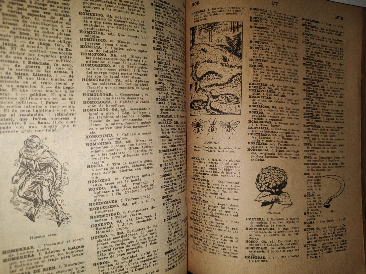 192- Diccionario Castellano Ilustrado Lexikón - Fernández Editores - 1968