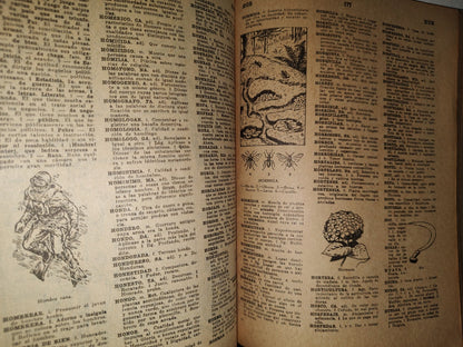 192- Diccionario Castellano Ilustrado Lexikón - Fernández Editores - 1968