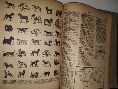 192- Diccionario Castellano Ilustrado Lexikón - Fernández Editores - 1968