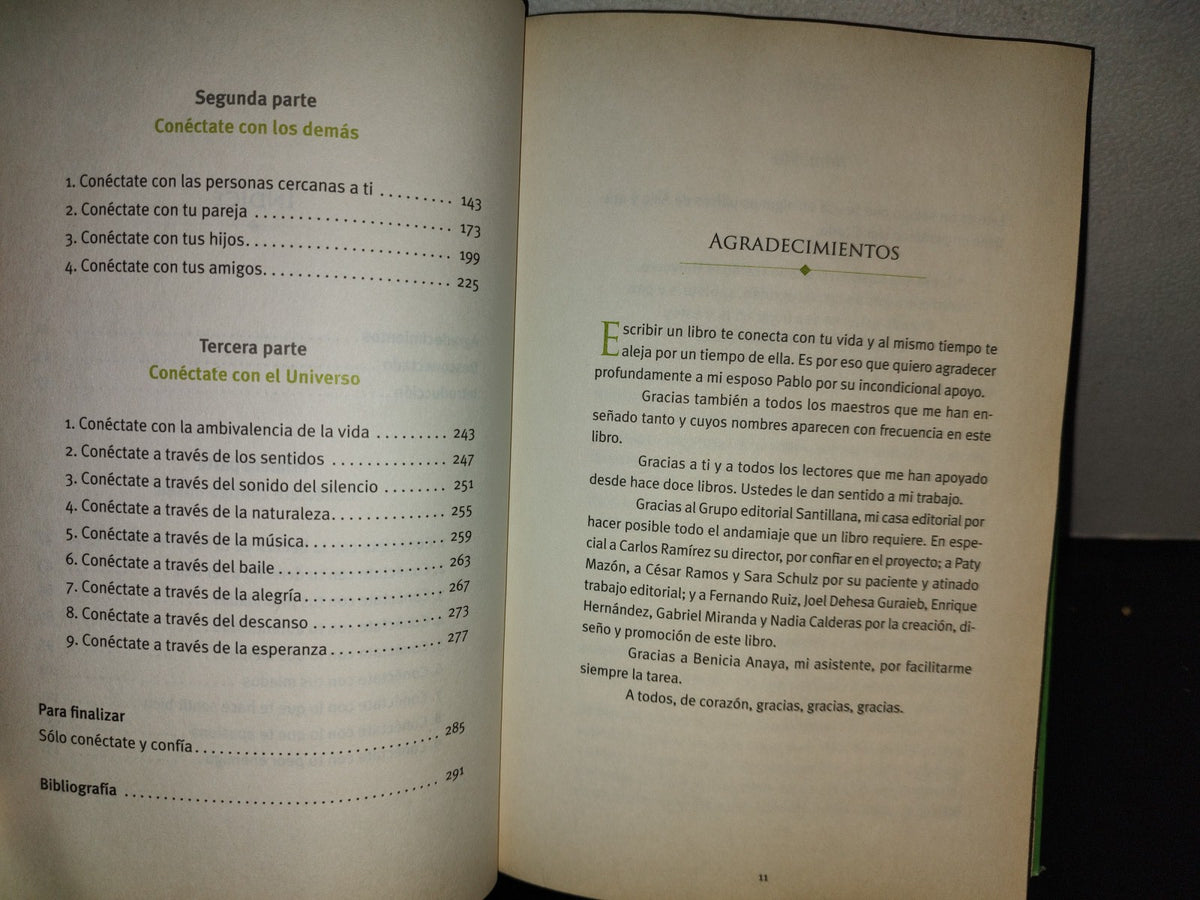 199- Conéctate Contigo Mismo, Con Los Demás, Con El Universo - Gaby Vargas - 1A. Ed. 2011