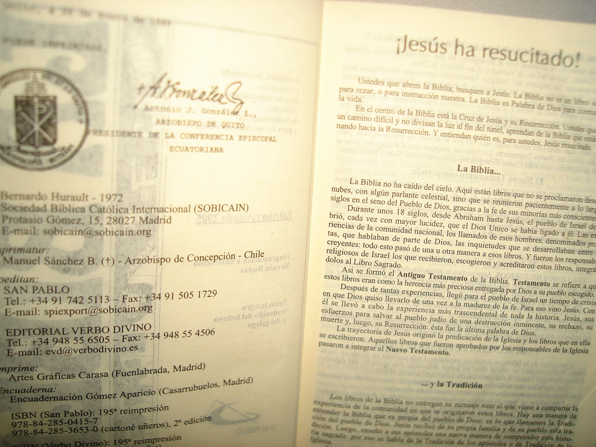 18- La Biblia. Latinoamérica - Editorial Verbo Divino. Edición Revisada 2005