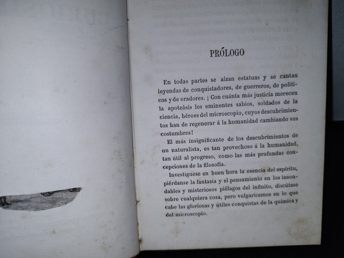 59- Biblioteca Selecta Para Los Niños. Curiosidades Científico-Domésticas. Nicolás Estebañez - 1880