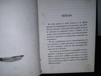 59- Biblioteca Selecta Para Los Niños. Curiosidades Científico-Domésticas. Nicolás Estebañez - 1880