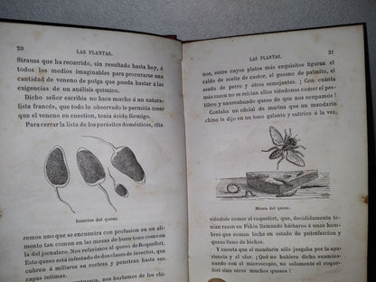 59- Biblioteca Selecta Para Los Niños. Curiosidades Científico-Domésticas. Nicolás Estebañez - 1880