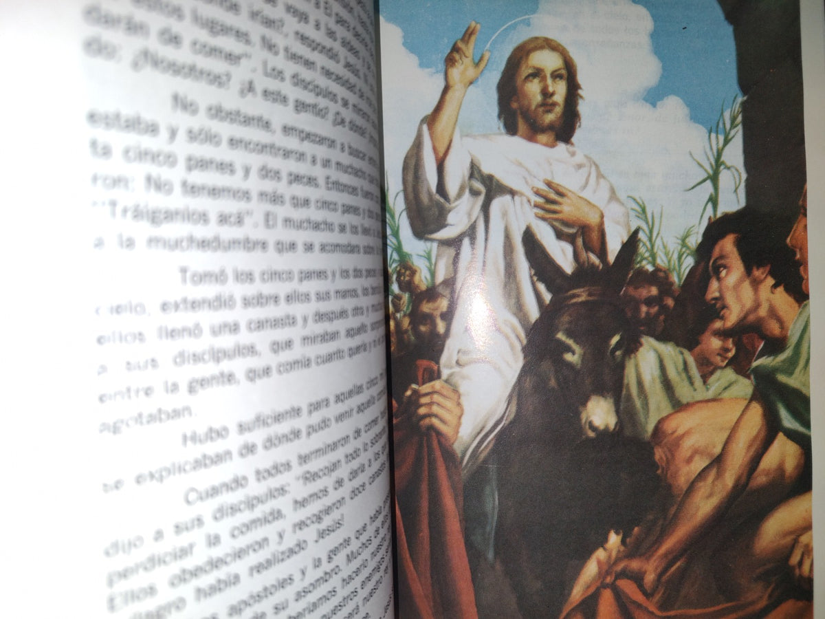 215- La Biblia Para Niños Como Tú - Concepción Barrón De Morán - Ediciones Paulinas 1998