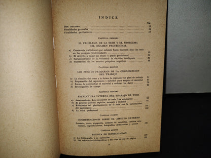 123- Tesis Profesionales - Ángeles Mendieta Alatorre
