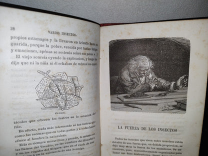 59- Biblioteca Selecta Para Los Niños. Curiosidades Científico-Domésticas. Nicolás Estebañez - 1880