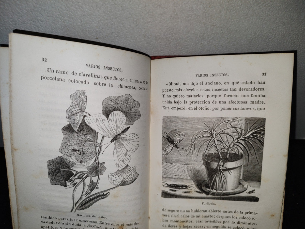 59- Biblioteca Selecta Para Los Niños. Curiosidades Científico-Domésticas. Nicolás Estebañez - 1880