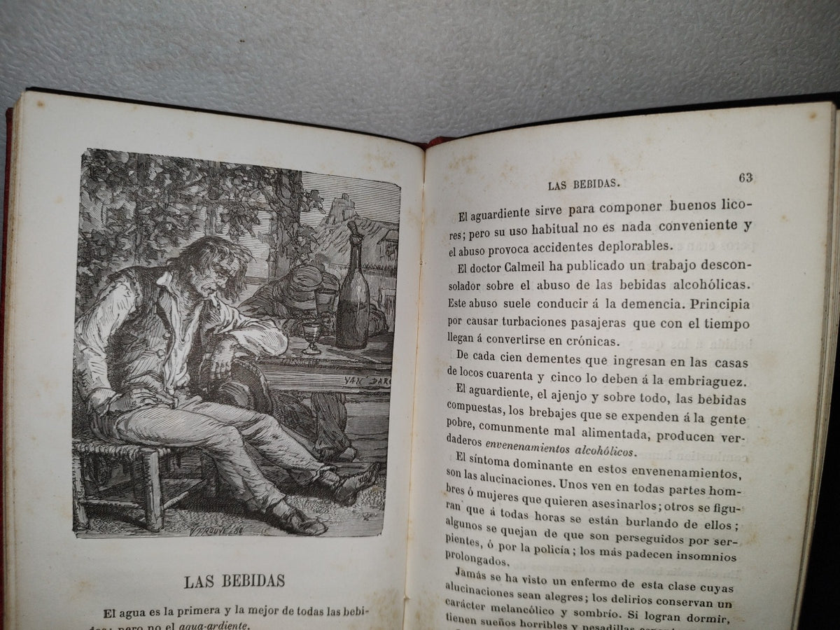 59- Biblioteca Selecta Para Los Niños. Curiosidades Científico-Domésticas. Nicolás Estebañez - 1880