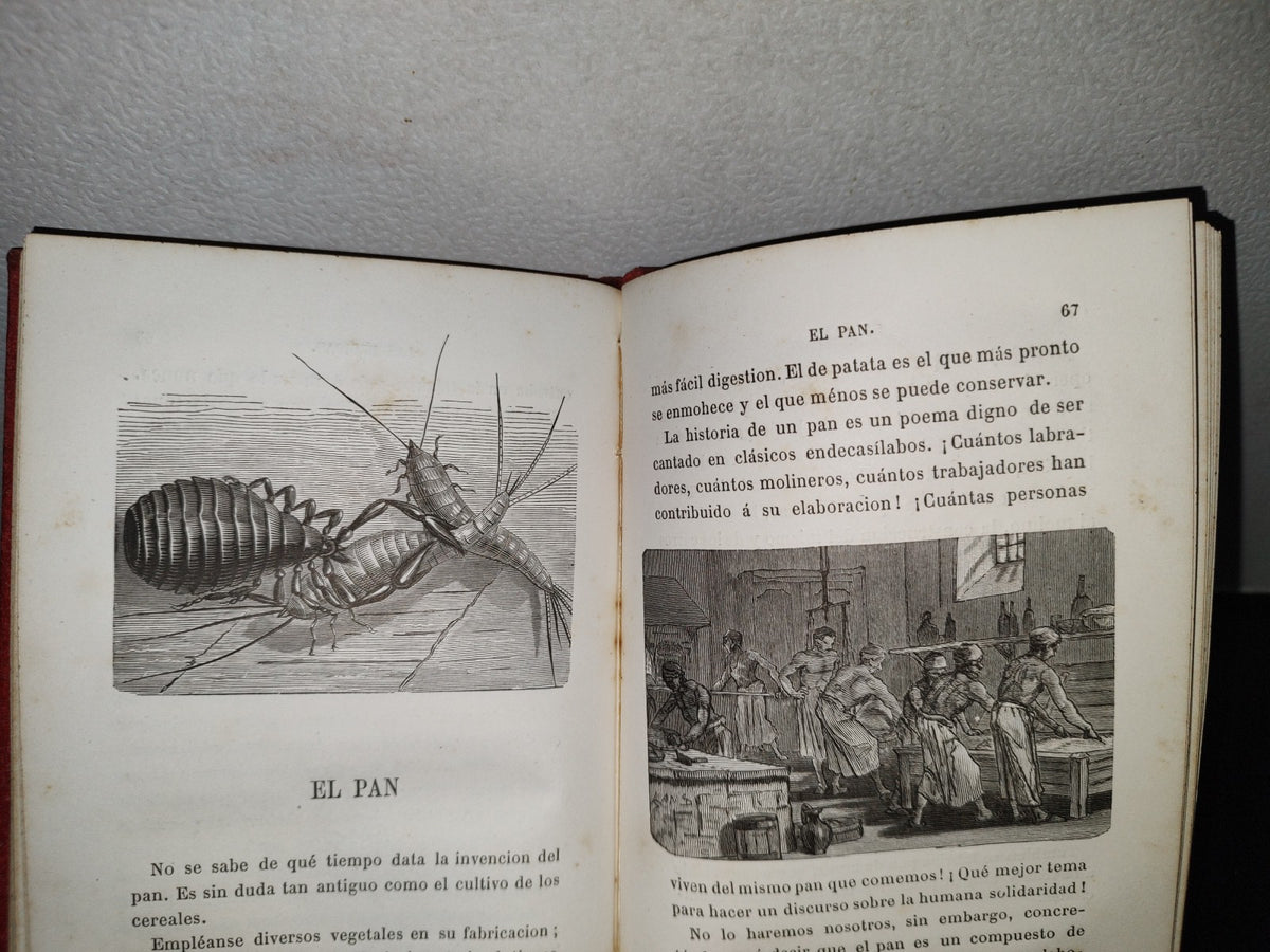 59- Biblioteca Selecta Para Los Niños. Curiosidades Científico-Domésticas. Nicolás Estebañez - 1880