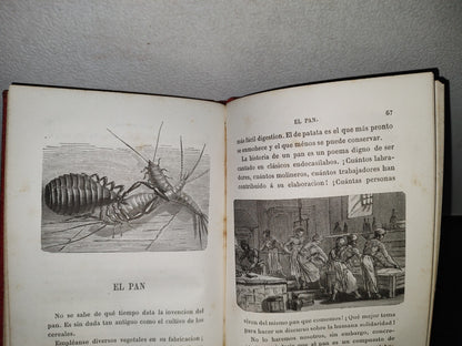 59- Biblioteca Selecta Para Los Niños. Curiosidades Científico-Domésticas. Nicolás Estebañez - 1880