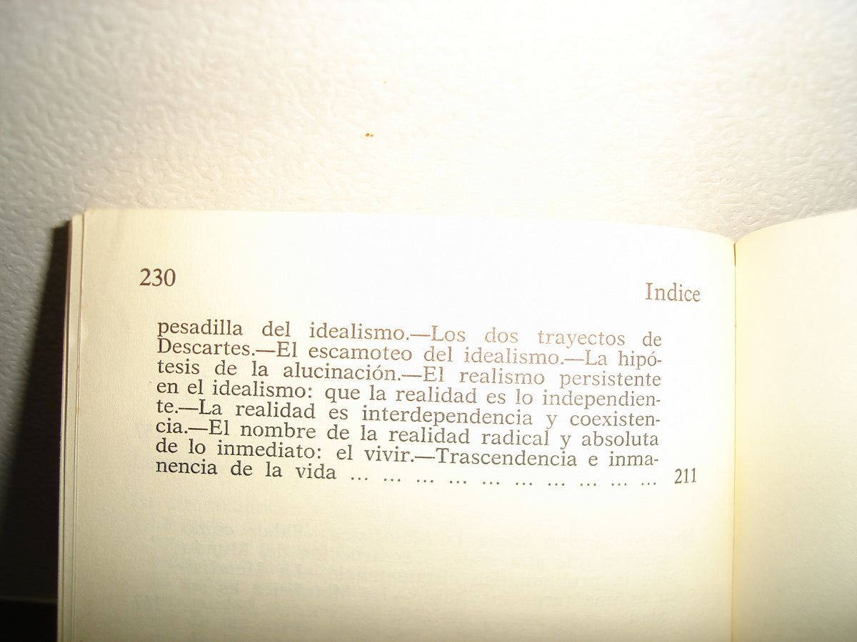 169- Unas Lecciones De Metafísica - Ortega Y Gasset