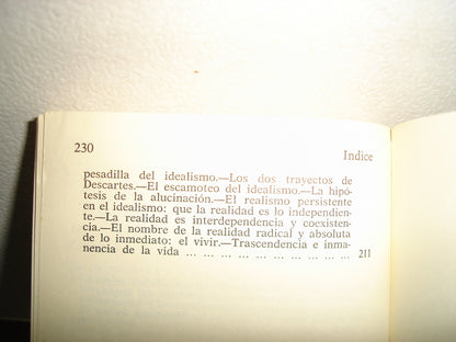 169- Unas Lecciones De Metafísica - Ortega Y Gasset