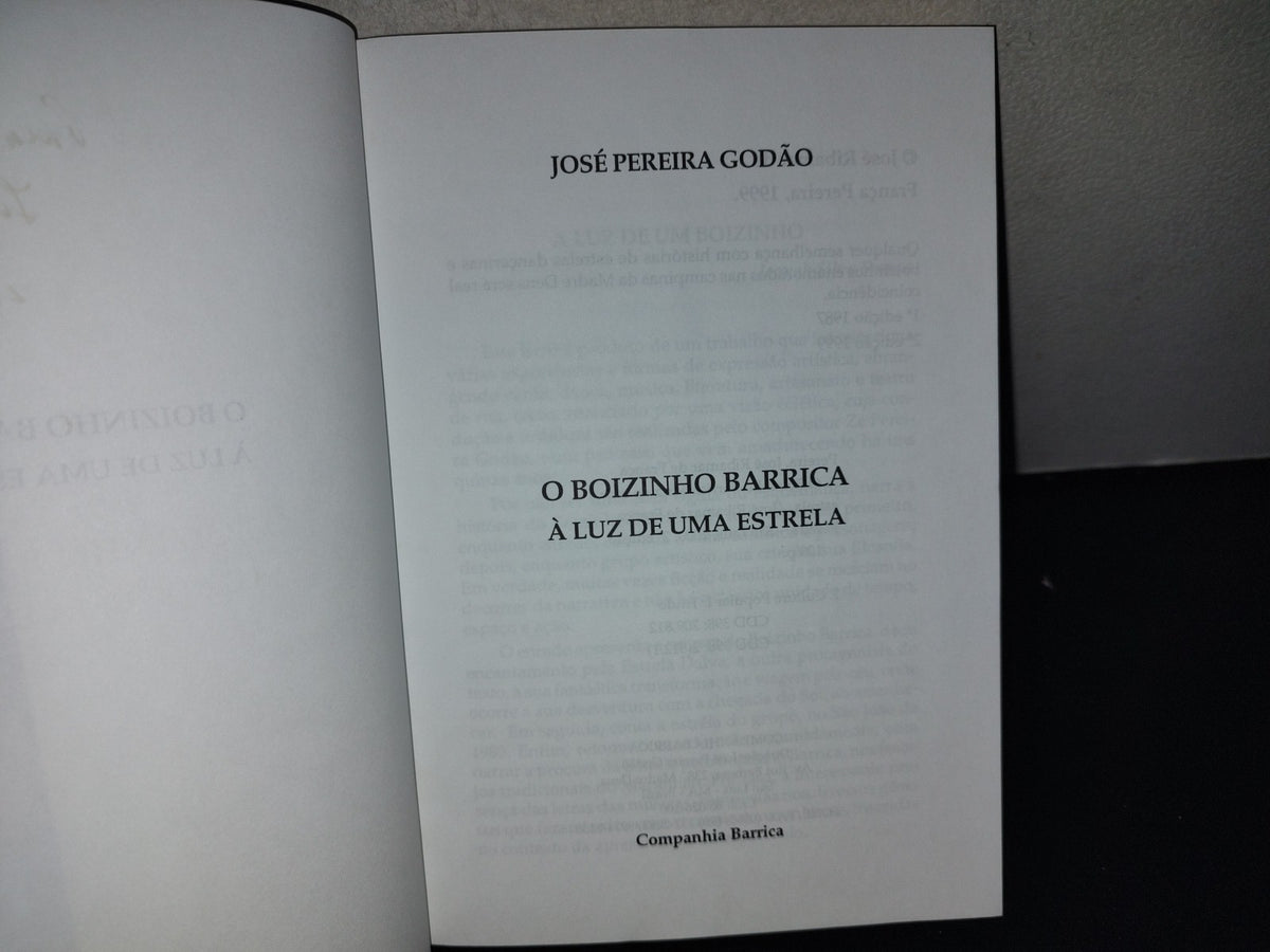 209- O Boizinho Barricada À Luz De Uma Estrela - José Pereira Godão