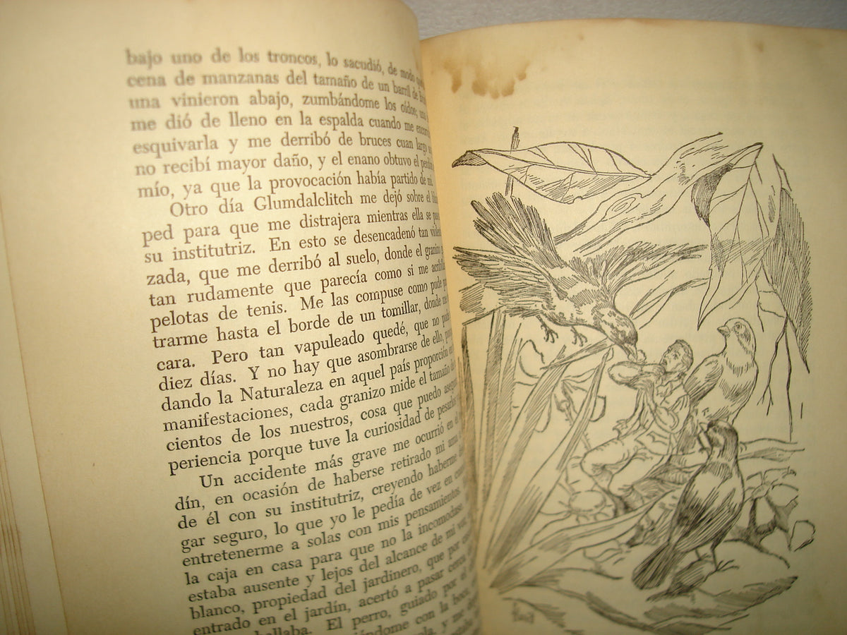 169- Viajes De Gulliver - Jonathan Swift - Editorial Cumbre - 60's
