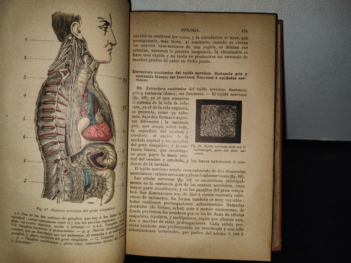 64- Historia Natural - J. Langlebert - Librería De La Vda. De Ch. Bouret, 1899