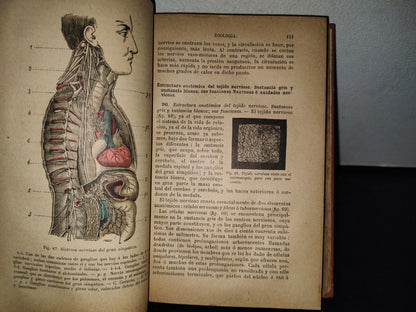 64- Historia Natural - J. Langlebert - Librería De La Vda. De Ch. Bouret, 1899