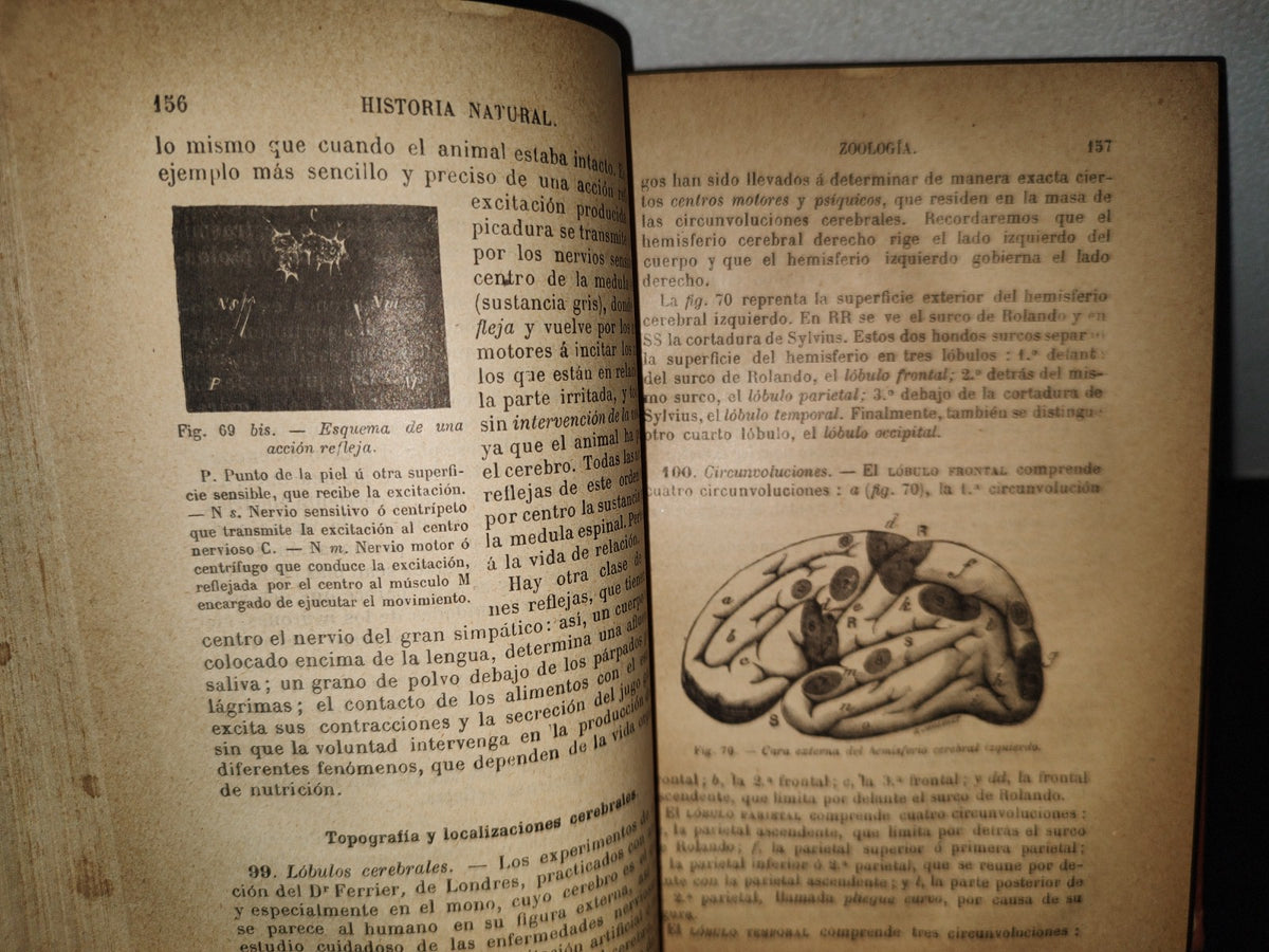 64- Historia Natural - J. Langlebert - Librería De La Vda. De Ch. Bouret, 1899