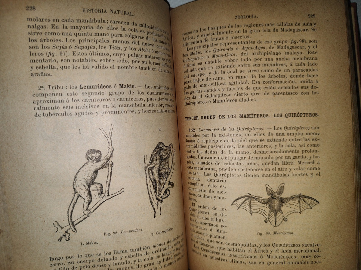 64- Historia Natural - J. Langlebert - Librería De La Vda. De Ch. Bouret, 1899
