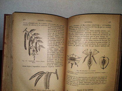 64- Historia Natural - J. Langlebert - Librería De La Vda. De Ch. Bouret, 1899