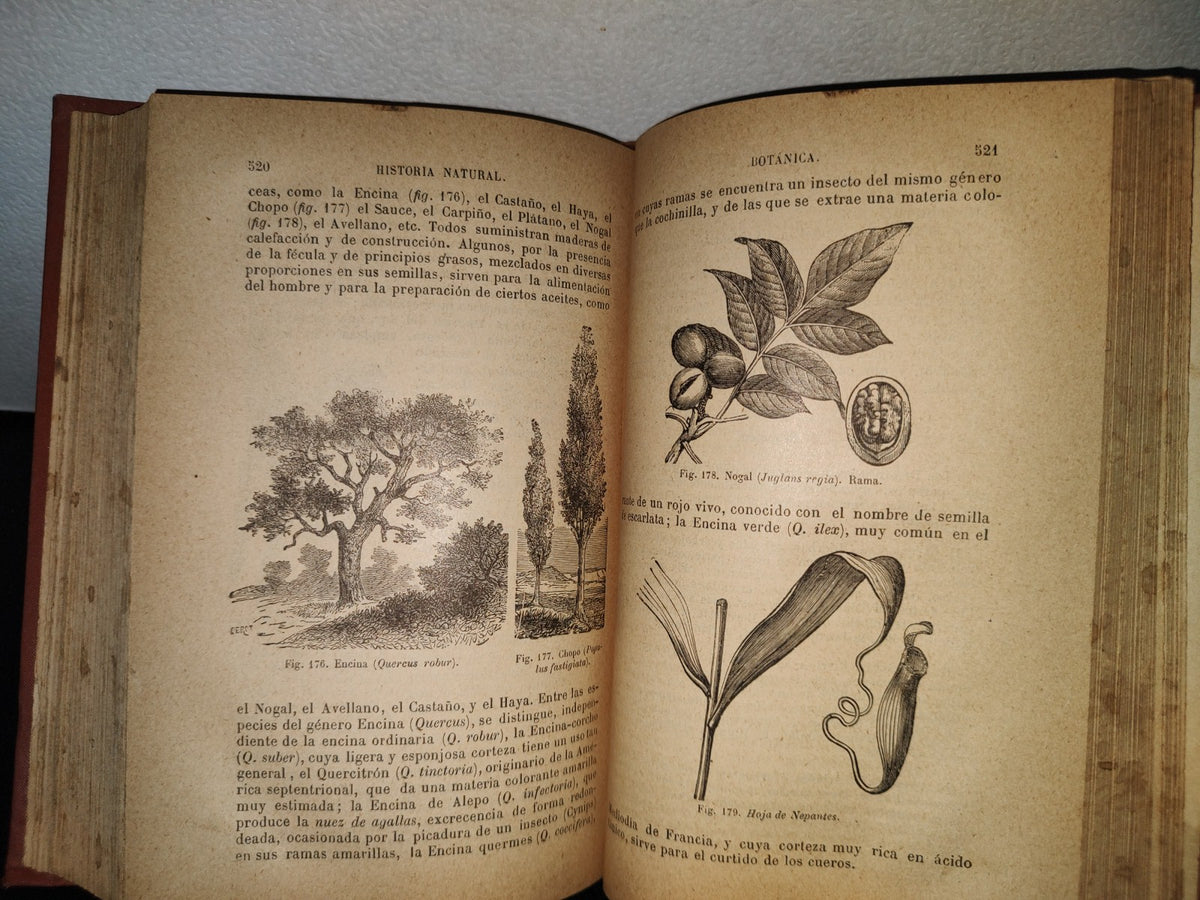 64- Historia Natural - J. Langlebert - Librería De La Vda. De Ch. Bouret, 1899