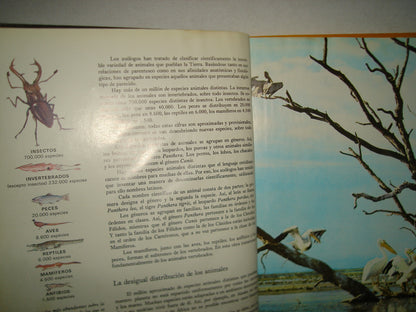 10- Enciclopedia Salvat De La Fauna- Tomo I - 1979