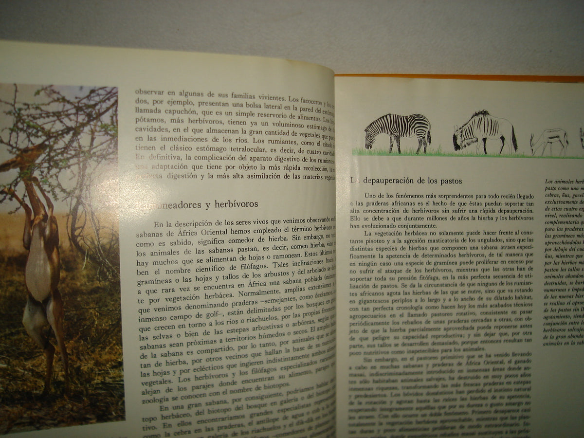 10- Enciclopedia Salvat De La Fauna- Tomo I - 1979