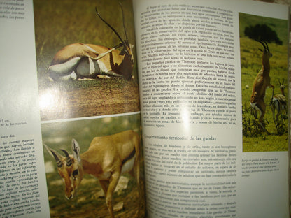10- Enciclopedia Salvat De La Fauna- Tomo I - 1979