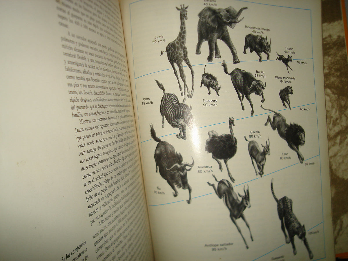 10- Enciclopedia Salvat De La Fauna- Tomo I - 1979