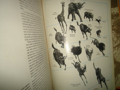 10- Enciclopedia Salvat De La Fauna- Tomo I - 1979