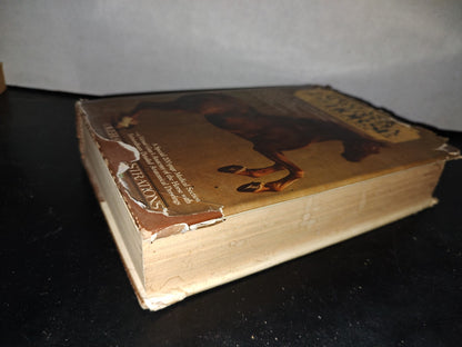 173- Enciclopedia Del Caballo. The Classic Encyclopedia Of The Horse - Dennis Magner - Bonanza Edition 1980
