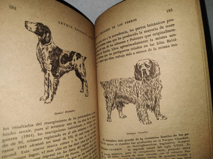 54- Cuidado Y Educación De Los Perros - Arthur Frederick Jones