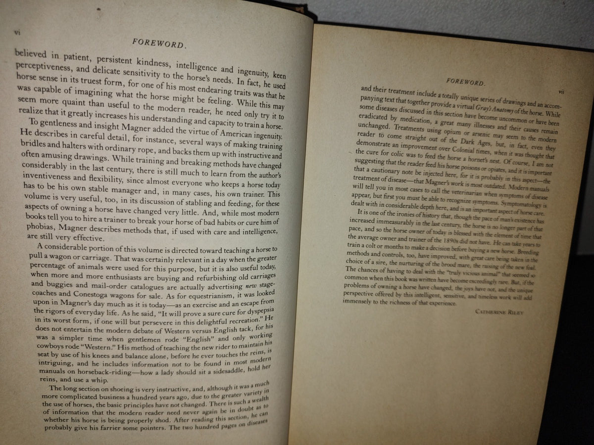 173- Enciclopedia Del Caballo. The Classic Encyclopedia Of The Horse - Dennis Magner - Bonanza Edition 1980