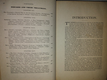 173- Enciclopedia Del Caballo. The Classic Encyclopedia Of The Horse - Dennis Magner - Bonanza Edition 1980