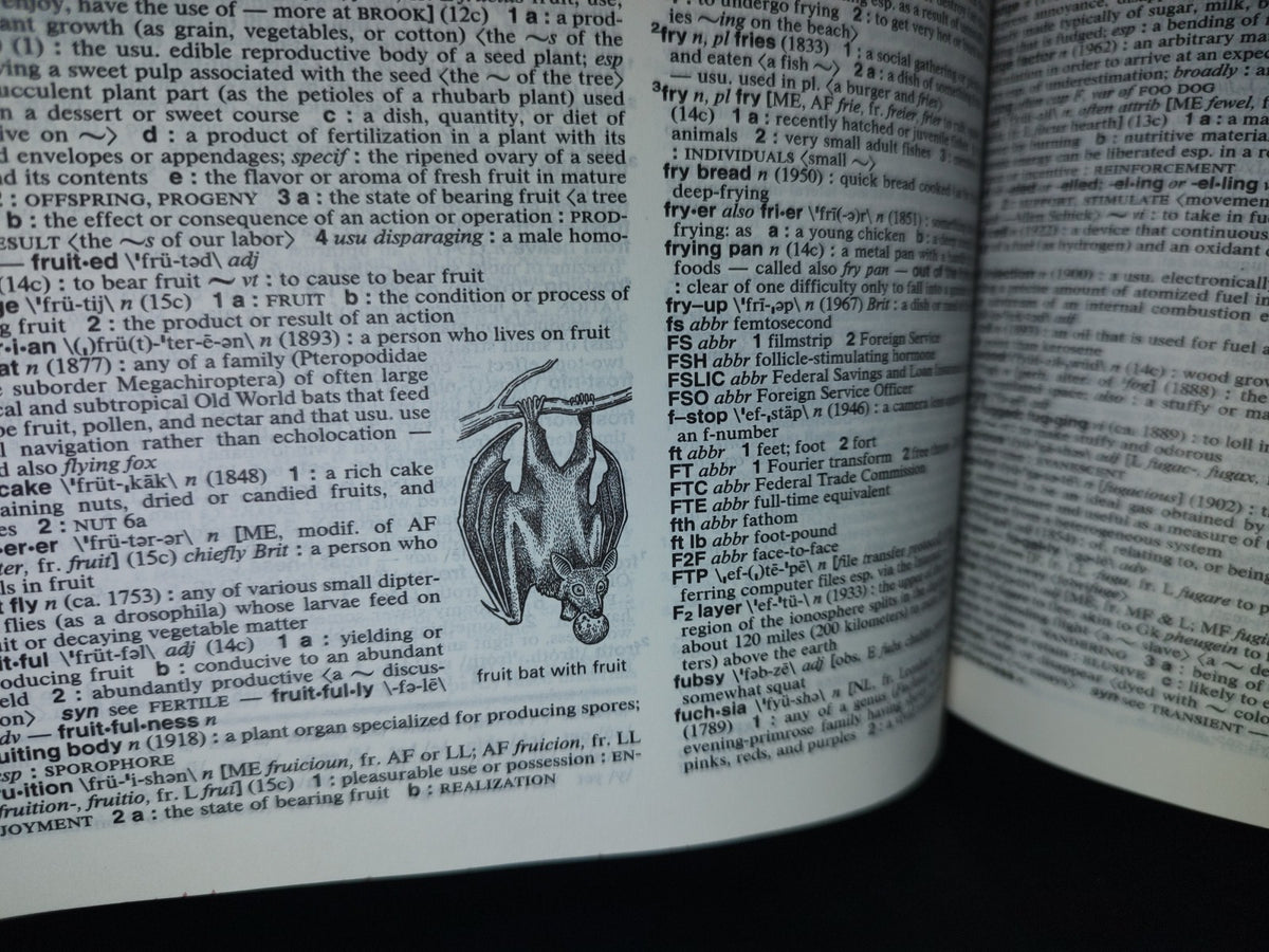 179- Merriam-Webster'S Collegiate Dictionary. Eleventh Edition - 2003