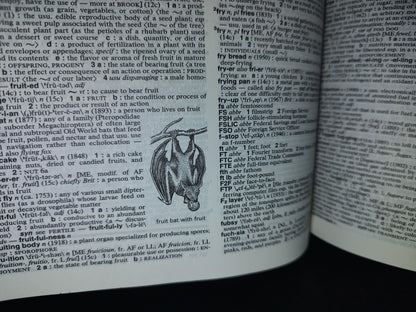 179- Merriam-Webster'S Collegiate Dictionary. Eleventh Edition - 2003