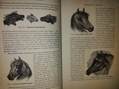 173- Enciclopedia Del Caballo. The Classic Encyclopedia Of The Horse - Dennis Magner - Bonanza Edition 1980