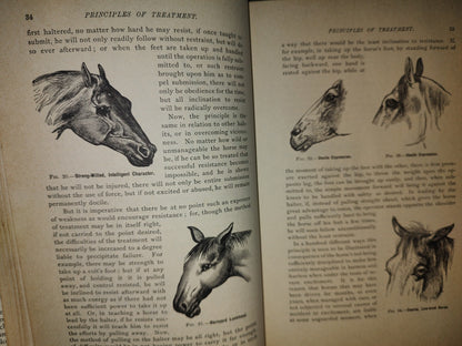 173- Enciclopedia Del Caballo. The Classic Encyclopedia Of The Horse - Dennis Magner - Bonanza Edition 1980