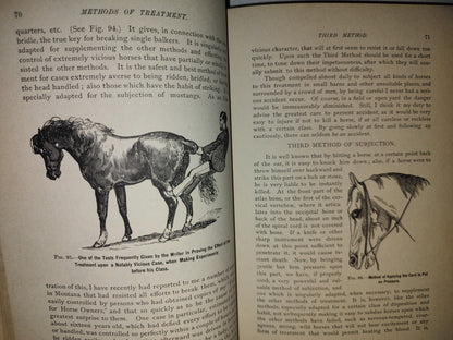 173- Enciclopedia Del Caballo. The Classic Encyclopedia Of The Horse - Dennis Magner - Bonanza Edition 1980