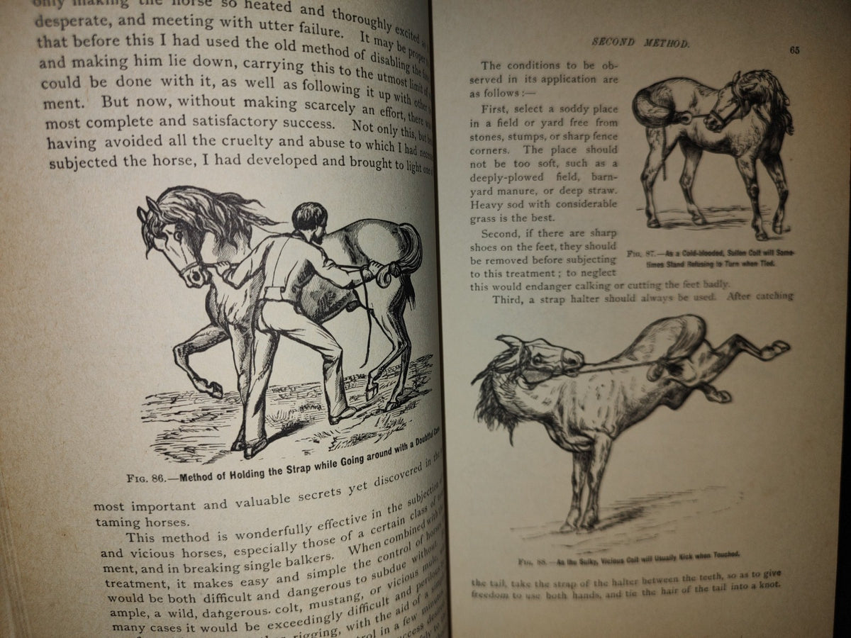 173- Enciclopedia Del Caballo. The Classic Encyclopedia Of The Horse - Dennis Magner - Bonanza Edition 1980