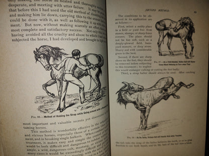 173- Enciclopedia Del Caballo. The Classic Encyclopedia Of The Horse - Dennis Magner - Bonanza Edition 1980