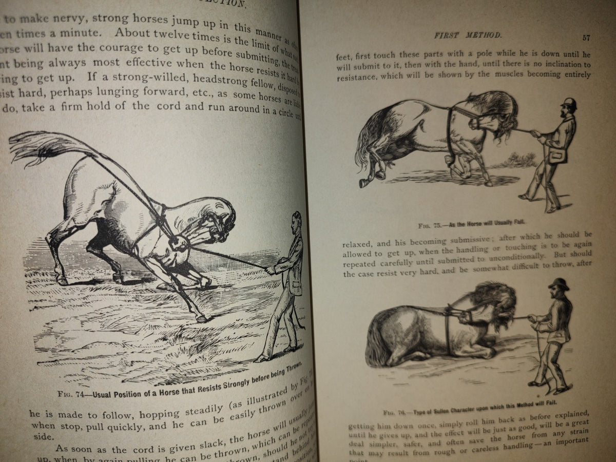 173- Enciclopedia Del Caballo. The Classic Encyclopedia Of The Horse - Dennis Magner - Bonanza Edition 1980