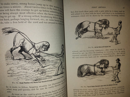 173- Enciclopedia Del Caballo. The Classic Encyclopedia Of The Horse - Dennis Magner - Bonanza Edition 1980