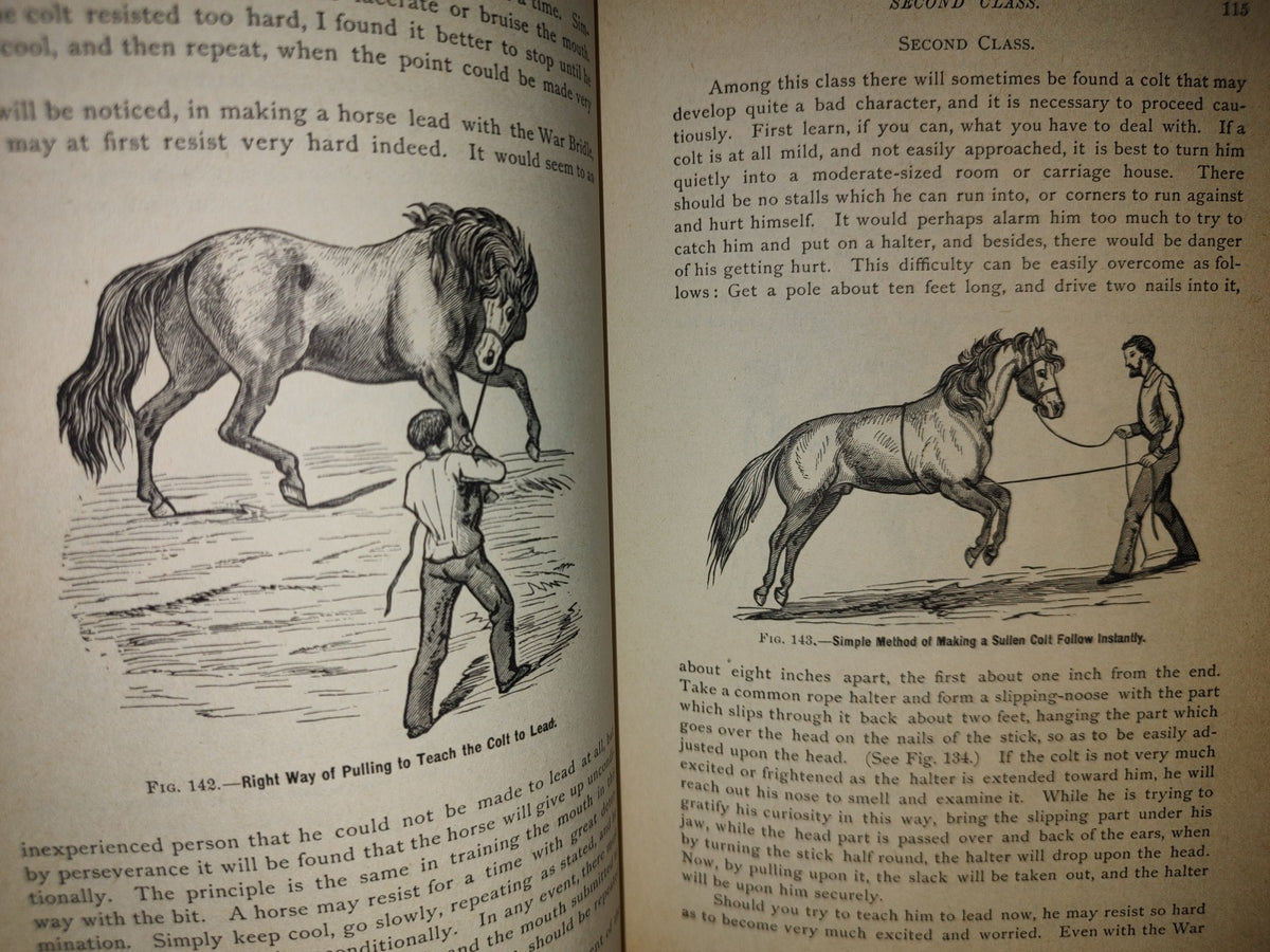 173- Enciclopedia Del Caballo. The Classic Encyclopedia Of The Horse - Dennis Magner - Bonanza Edition 1980