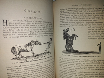 173- Enciclopedia Del Caballo. The Classic Encyclopedia Of The Horse - Dennis Magner - Bonanza Edition 1980
