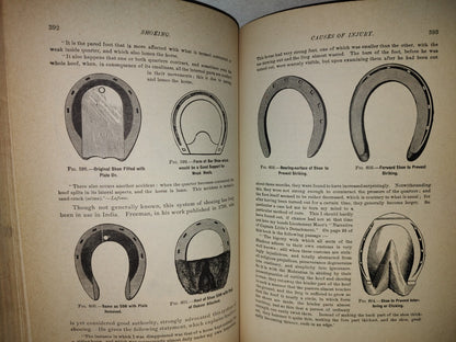 173- Enciclopedia Del Caballo. The Classic Encyclopedia Of The Horse - Dennis Magner - Bonanza Edition 1980